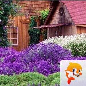 雪儿🎤V娱热点