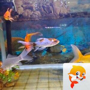 雪儿🎤V娱热点