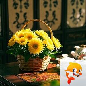 雪儿🎤V娱热点