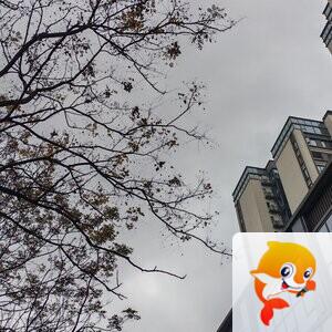 纳兰＿🎤V娱热点