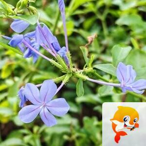 纳兰＿🎤V娱热点