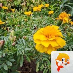 纳兰＿🎤V娱热点