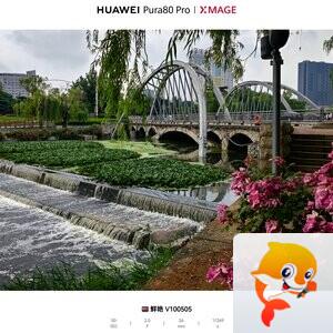914738688晨龙