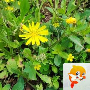 纳兰＿🎤V娱热点