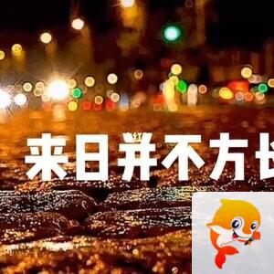 冬日艳阳