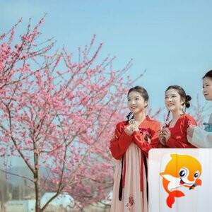 《华人文艺选刊》赵良田主编