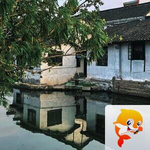 小张[西窗剪烛]