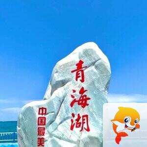 阿莉