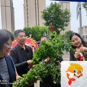 大兴榆垡丽悦职康站