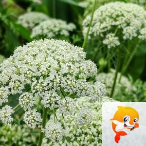 纳兰＿🎤V娱热点