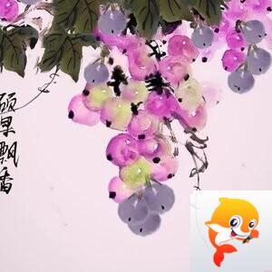 沈旋