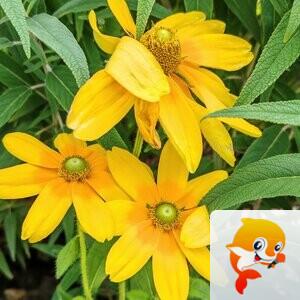 纳兰＿🎤V娱热点