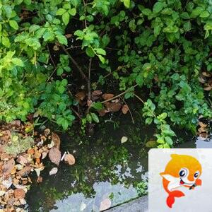 纳兰＿🎤V娱热点