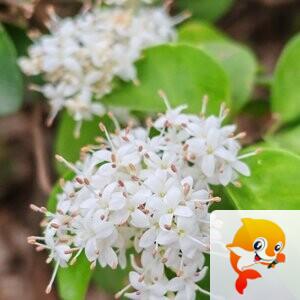 纳兰＿🎤V娱热点