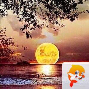 张国政(爱国军旅文坛)