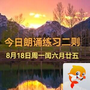 张扬辰
