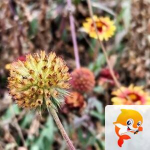 纳兰＿🎤V娱热点