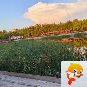 雪儿🎤V娱热点