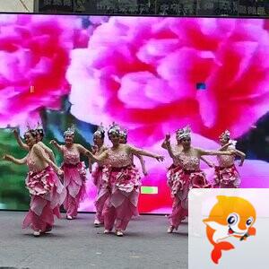 常青视觉