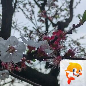 纳兰＿🎤V娱热点