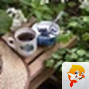 ℒℴѵℯ亮亮ꦿ໊ོ °