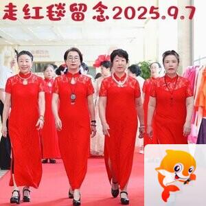 齐齐