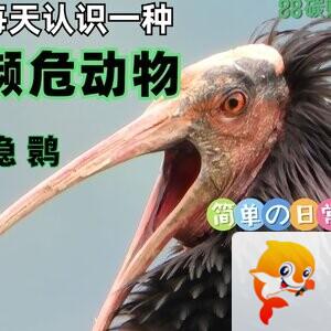 💫压馨韵💫随缘