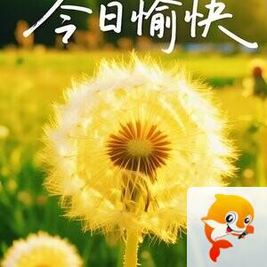 🌹🌹为爱相随1