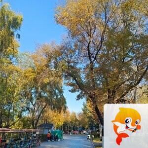 雪儿🎤V娱热点