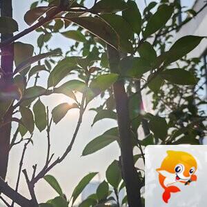 纳兰＿🎤V娱热点