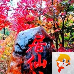 雪儿🎤V娱热点