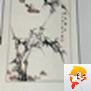 西窗菊儿【西窗剪烛】族长