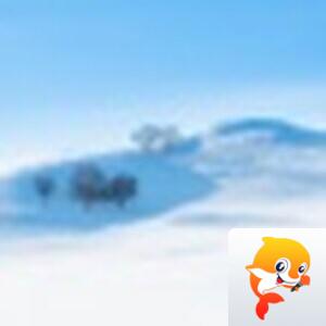 视觉【美摄视界】