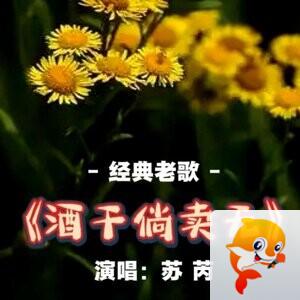 雨霖玲