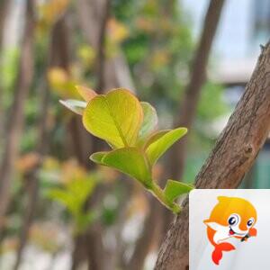 纳兰＿🎤V娱热点