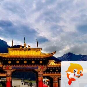 独狼【美摄视界】