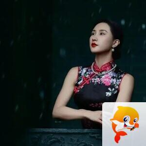 会飞的鱼〔诗人•文声汇影〕