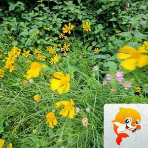 纳兰＿🎤V娱热点