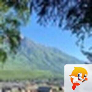 霸气💞一个叫木头吖