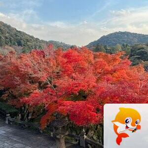 雪儿🎤V娱热点