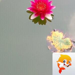 纳兰＿🎤V娱热点