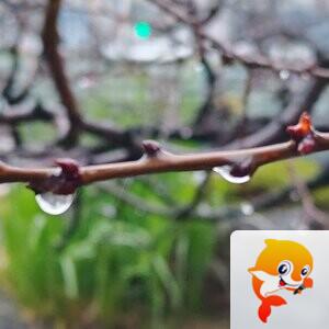 纳兰＿🎤V娱热点