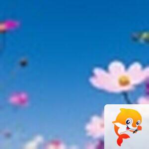 ℒℴѵℯ亮亮ꦿ໊ོ °