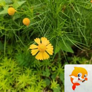 纳兰＿🎤V娱热点