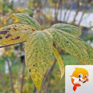 纳兰＿🎤V娱热点