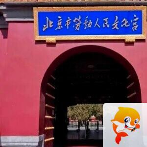 高桂秋
