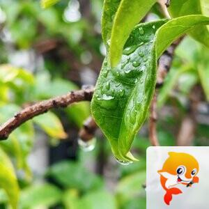 纳兰＿🎤V娱热点