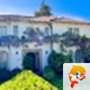 ♨️豪情♨️Freedom