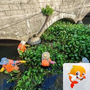 海口京环公司