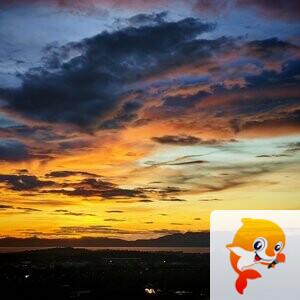 木林【兰亭雅韵】